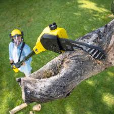 Best Lawn Grading and Leveling  in Lake Catherine, IL